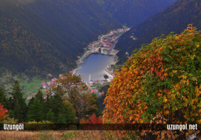 Ecology of the Uzungöl